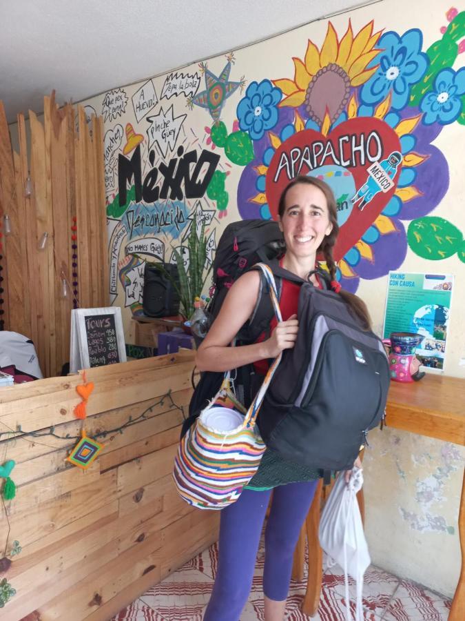 Casa Apapacho Hostel ซานกริสโตบัล เด ลาสกาซาส ภายนอก รูปภาพ